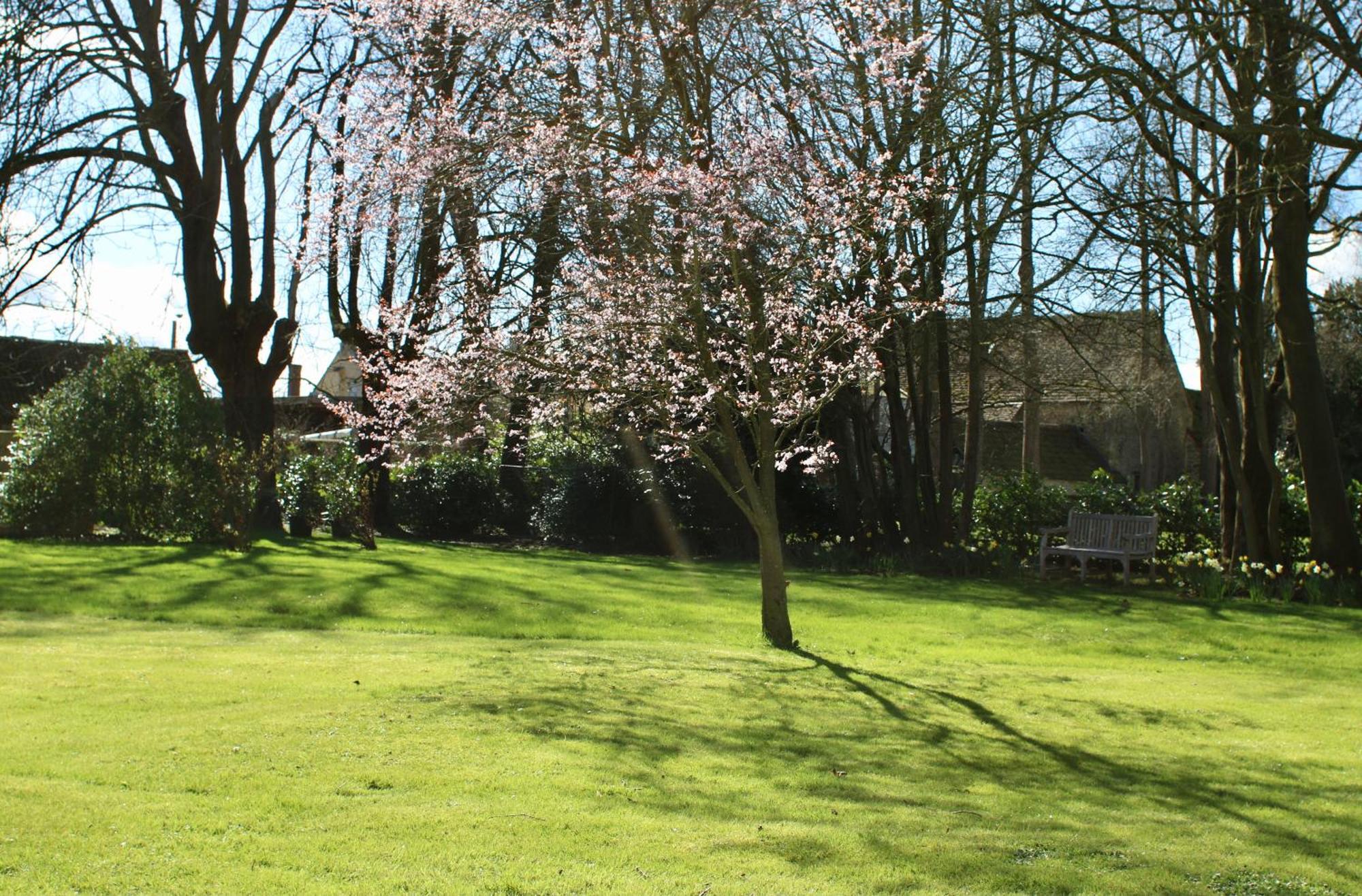 Bed and Breakfast Parsonage House, Badminton à Great Badminton Extérieur photo